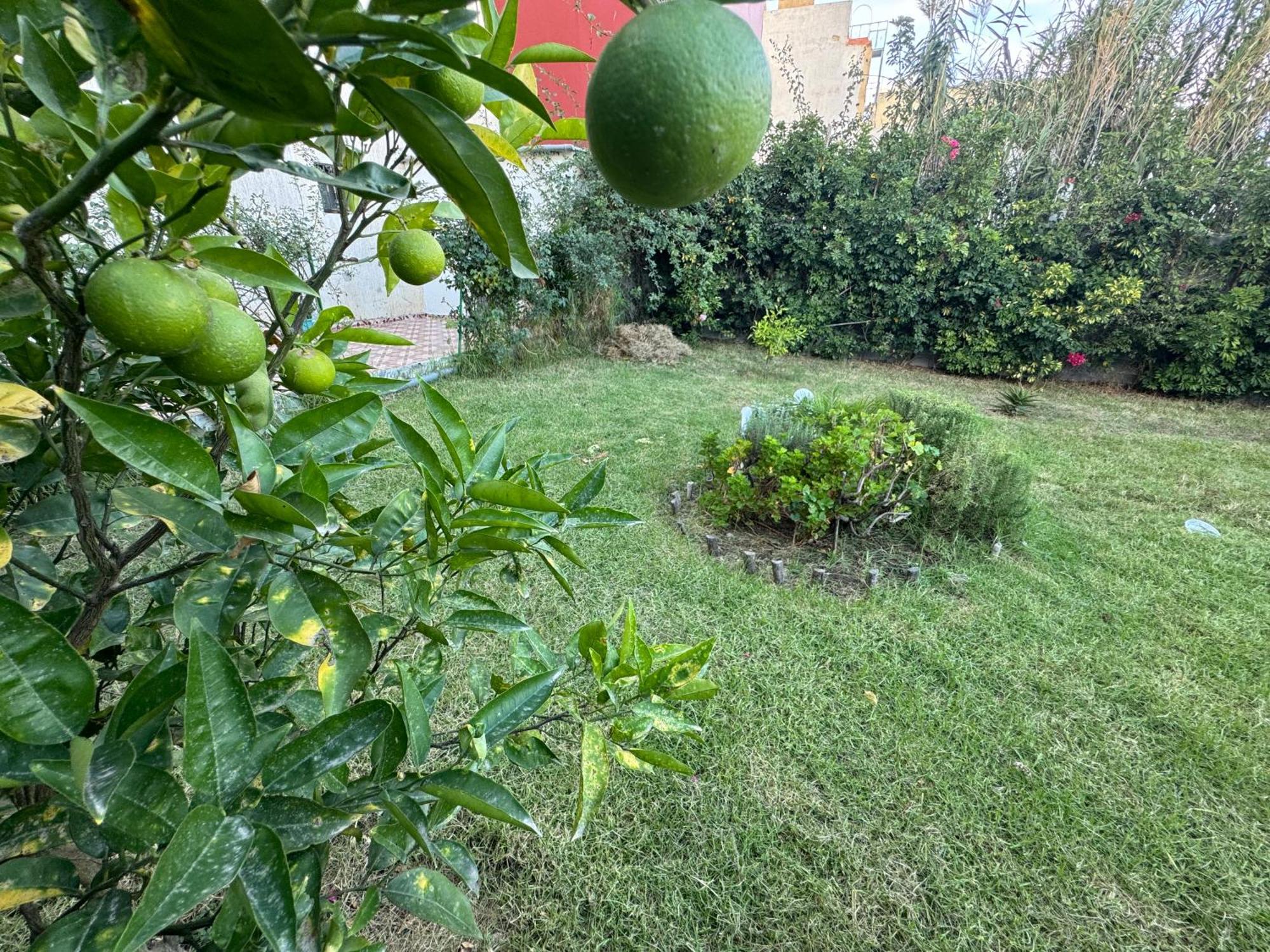 Kozah Appartement Tanger